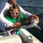 Fish Naples Florida